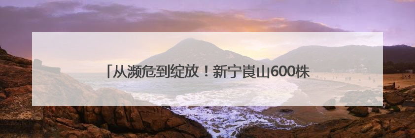从濒危到绽放！新宁崀山600株“国宝兰”获省级生物保护嘉奖
