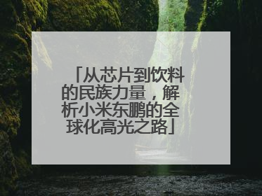 从芯片到饮料的民族力量，解析小米东鹏的全球化高光之路