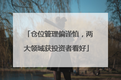 仓位管理偏谨慎，两大领域获投资者看好