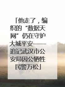 他走了，编织的“数据天网”仍在守护大城平安——追记武汉市公安局因公牺牲民警万松