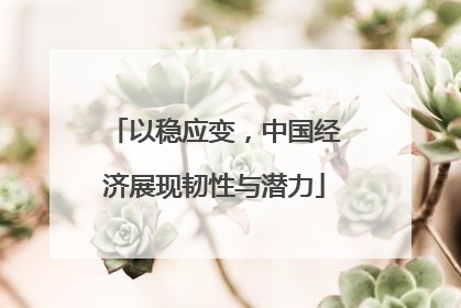 以稳应变，中国经济展现韧性与潜力