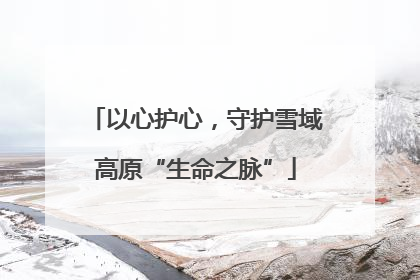 以心护心，守护雪域高原“生命之脉”