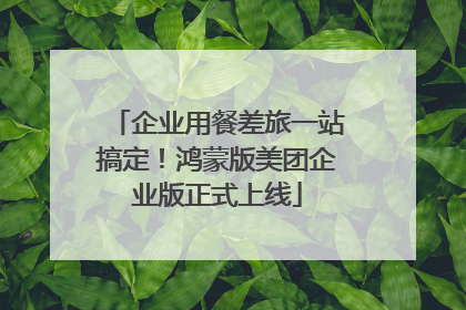 企业用餐差旅一站搞定！鸿蒙版美团企业版正式上线