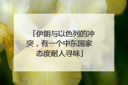 伊朗与以色列的冲突，有一个中东国家态度耐人寻味
