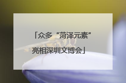 众多“菏泽元素”亮相深圳文博会