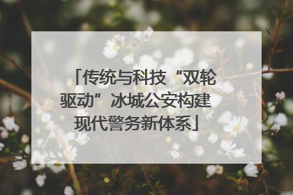 传统与科技“双轮驱动”冰城公安构建现代警务新体系