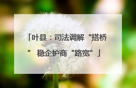 叶县：司法调解“搭桥” 稳企护商“路宽”