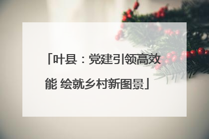 叶县：党建引领高效能 绘就乡村新图景