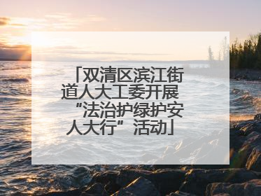 双清区滨江街道人大工委开展“法治护绿护安人大行”活动