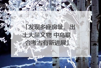 发现多座房址、出土大量文物 中乌联合考古有新进展
