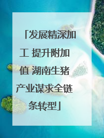 发展精深加工 提升附加值 湖南生猪产业谋求全链条转型