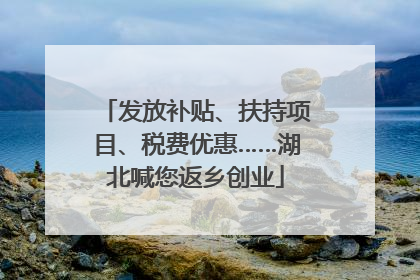 发放补贴、扶持项目、税费优惠……湖北喊您返乡创业