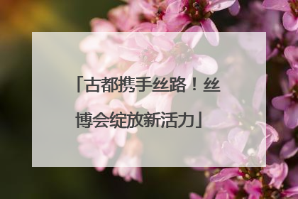 古都携手丝路！丝博会绽放新活力