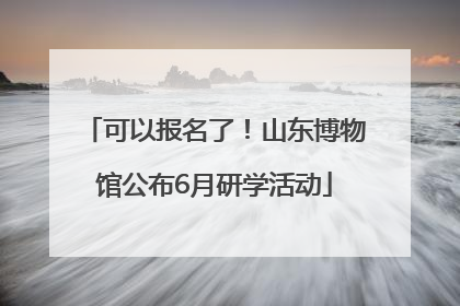 可以报名了！山东博物馆公布6月研学活动