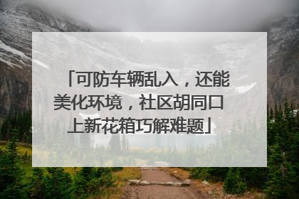 可防车辆乱入，还能美化环境，社区胡同口上新花箱巧解难题