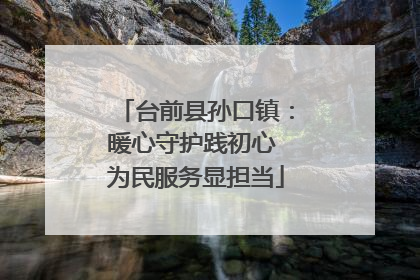 台前县孙口镇：暖心守护践初心 为民服务显担当