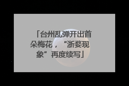 台州乱弹开出首朵梅花，“浙婺现象”再度续写
