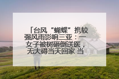 台风“蝴蝶”携较强风雨影响三亚：一女子被树砸倒送医，无大碍当天回家 当地已紧急清障