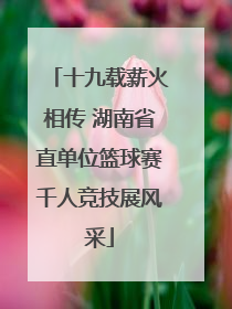 十九载薪火相传 湖南省直单位篮球赛千人竞技展风采
