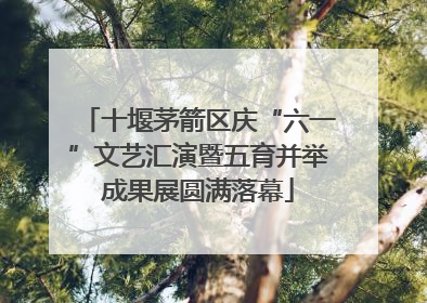 十堰茅箭区庆“六一”文艺汇演暨五育并举成果展圆满落幕