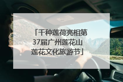千种莲荷亮相第37届广州莲花山莲花文化旅游节