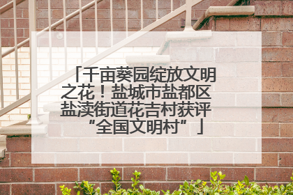 千亩葵园绽放文明之花！盐城市盐都区盐渎街道花吉村获评“全国文明村”