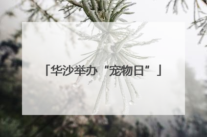 华沙举办“宠物日”