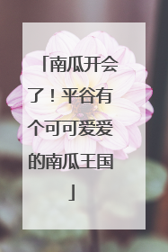南瓜开会了！平谷有个可可爱爱的南瓜王国