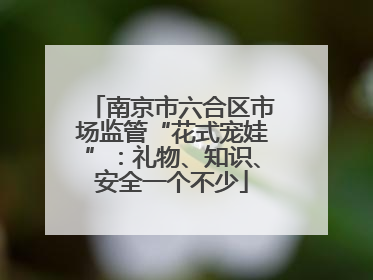 南京市六合区市场监管“花式宠娃”：礼物、知识、安全一个不少
