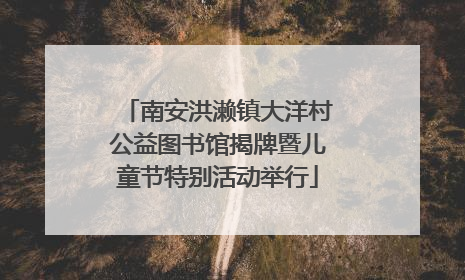 南安洪濑镇大洋村公益图书馆揭牌暨儿童节特别活动举行