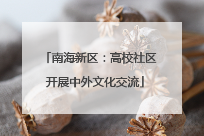 南海新区：高校社区开展中外文化交流