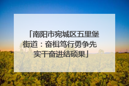 南阳市宛城区五里堡街道：奋楫笃行勇争先 实干奋进结硕果