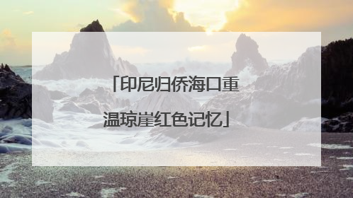 印尼归侨海口重温琼崖红色记忆
