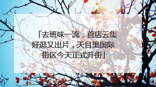 去班味一流，首店云集好逛又出片，天目里国际街区今天正式开街
