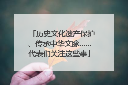 历史文化遗产保护、传承中华文脉……代表们关注这些事