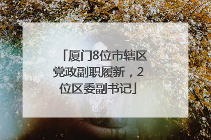 厦门8位市辖区党政副职履新，2位区委副书记