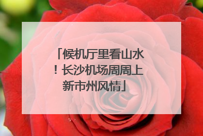 候机厅里看山水！长沙机场周周上新市州风情