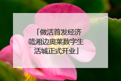 做活首发经济 赣湘边奥莱数字生活城正式开业