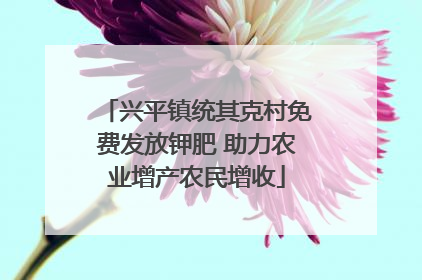 兴平镇统其克村免费发放钾肥 助力农业增产农民增收