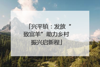 兴平镇：发放“致富羊”助力乡村振兴启新程