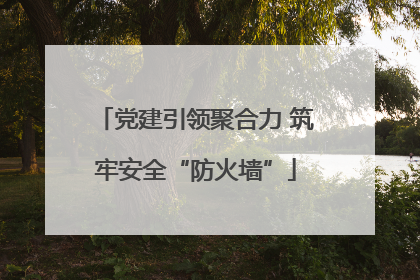 党建引领聚合力 筑牢安全“防火墙”
