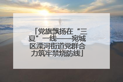 党旗飘扬在“三夏”一线——宛城区溧河街道党群合力筑牢禁烧防线