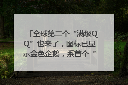全球第二个“满级QQ”也来了，图标已显示金色企鹅，系首个“满级QQ”的小号