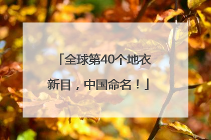 全球第40个地衣新目，中国命名！