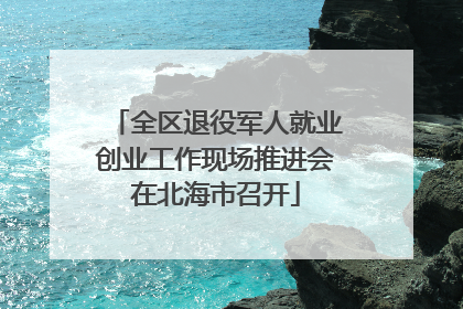 全区退役军人就业创业工作现场推进会在北海市召开