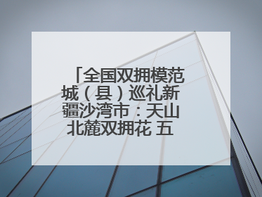 全国双拥模范城（县）巡礼新疆沙湾市：天山北麓双拥花 五届蝉联铸辉煌