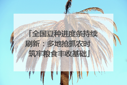 全国夏种进度条持续刷新：多地抢抓农时 筑牢粮食丰收基础