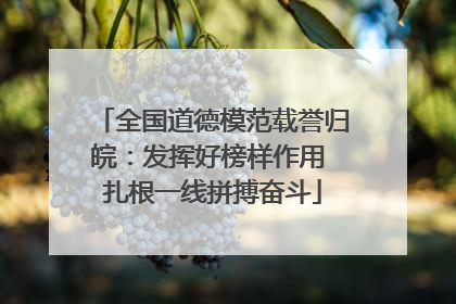 全国道德模范载誉归皖：发挥好榜样作用 扎根一线拼搏奋斗