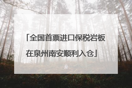 全国首票进口保税岩板在泉州南安顺利入仓