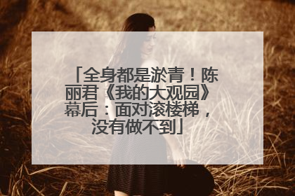全身都是淤青！陈丽君《我的大观园》幕后：面对滚楼梯，没有做不到